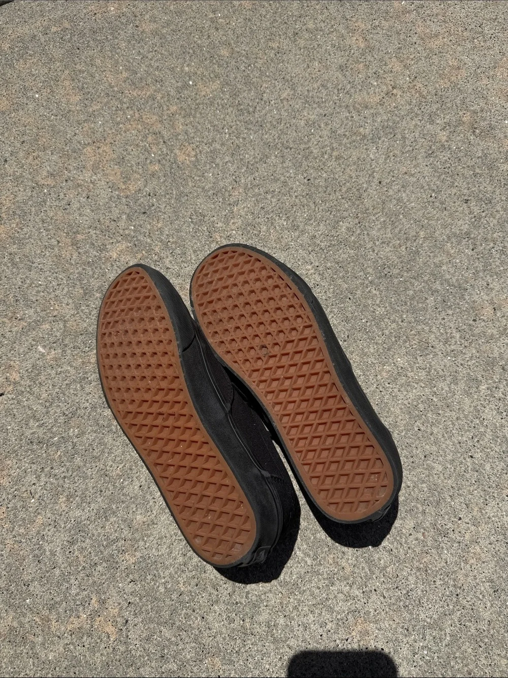 Vans Black Low-Top Canvas Sneakers